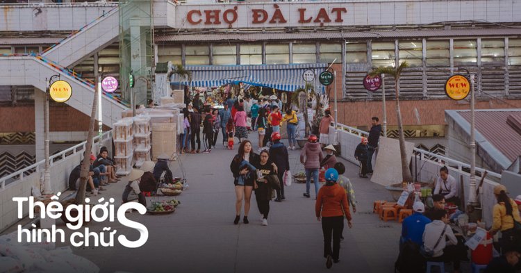 Đà Lạt 3 Ngày 2 Đêm Bao Nhiêu Tiền? Bảng Chi Phí 2026 & Cách Tạo Lịch Trình Nhanh Chóng